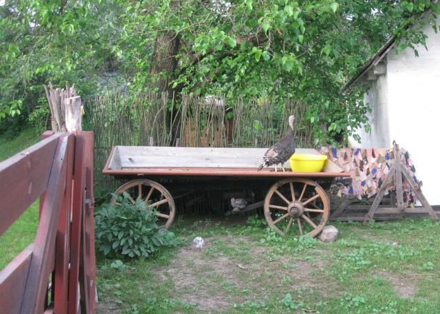 Kалиновий Kущ Dmitrenki Exterior foto