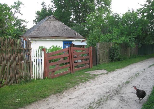 Kалиновий Kущ Dmitrenki Exterior foto