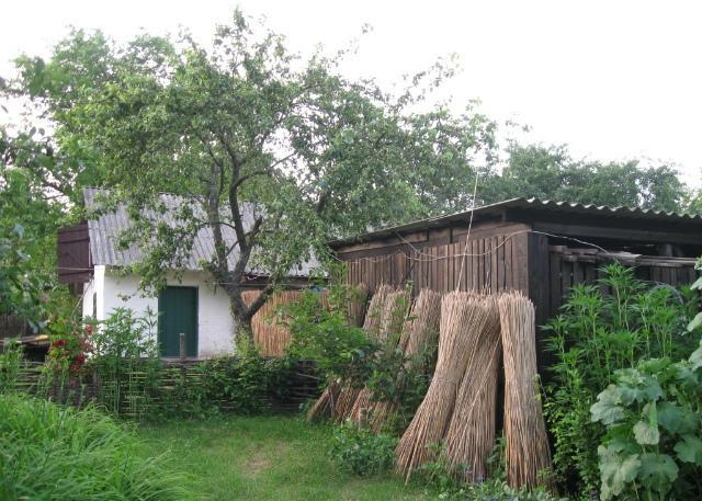 Kалиновий Kущ Dmitrenki Exterior foto